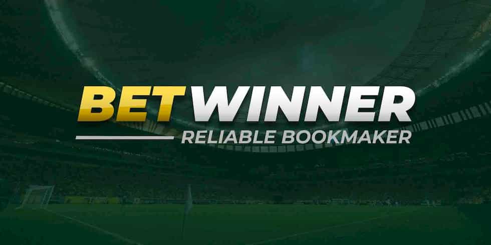 Discover the Thrills at Betwinner Casino