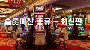 무료 카지노 보너스 종류부터 활용법까지 완전 정복
