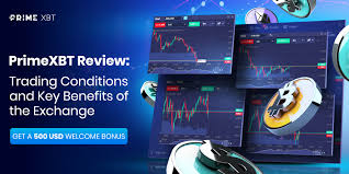 Unlock Your Trading Potential Discover PrimeXBT Bonus Offers